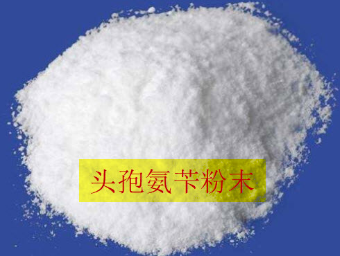 頭孢氨苄粉末真空上料機